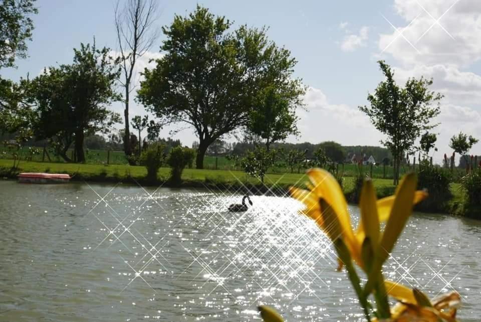 Gite Canard Fromelles Exteriör bild