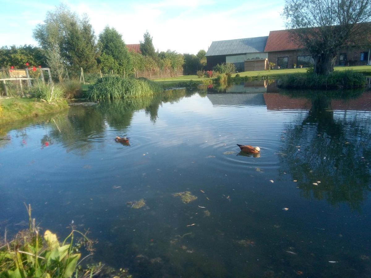 Gite Canard Fromelles Exteriör bild